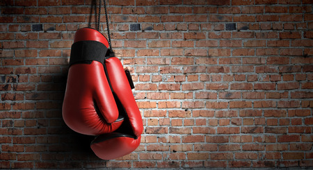 Championship Fighting: Explosive Punching and Aggressive Defense